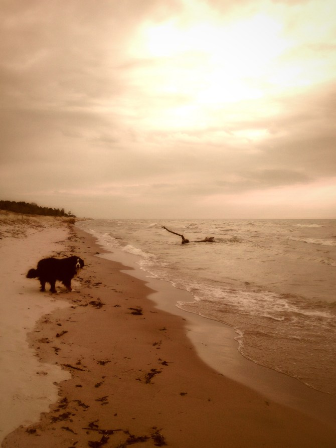 Boo and Lake Michigan
